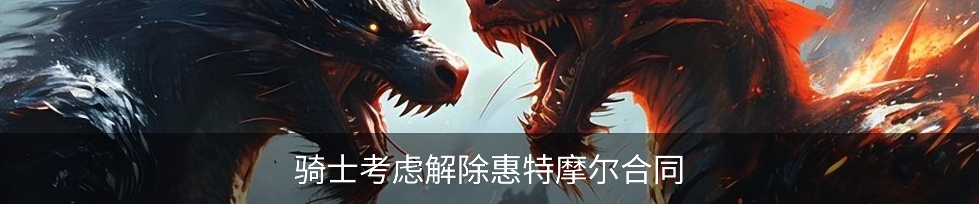 新闻动态